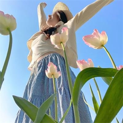 逃出狂鲨岛